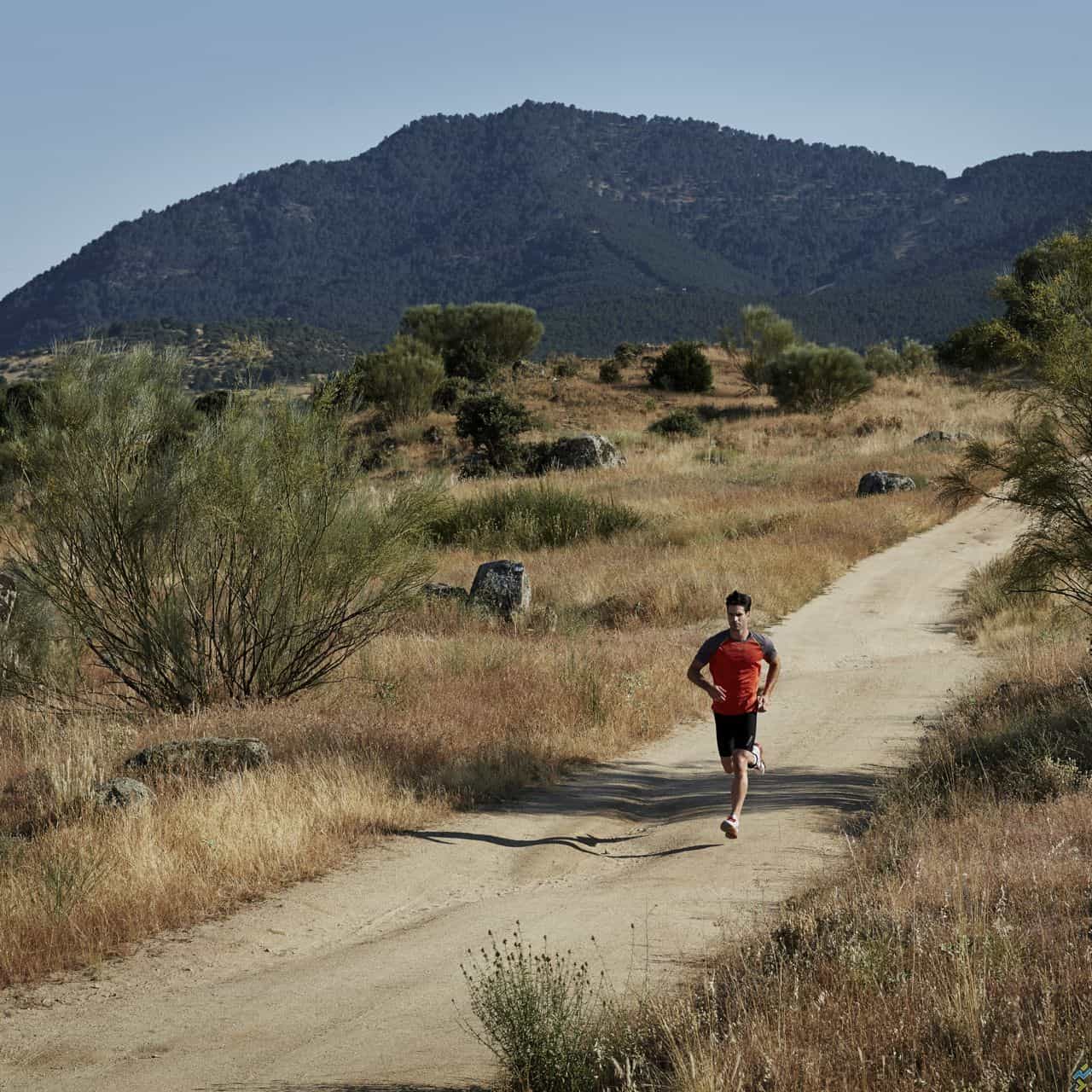 Courir en été : Nos 10 conseils pour affronter la chaleur