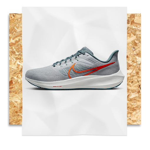 Nike Pegasus 39