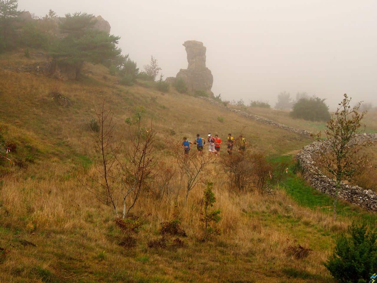 La tête de la course 