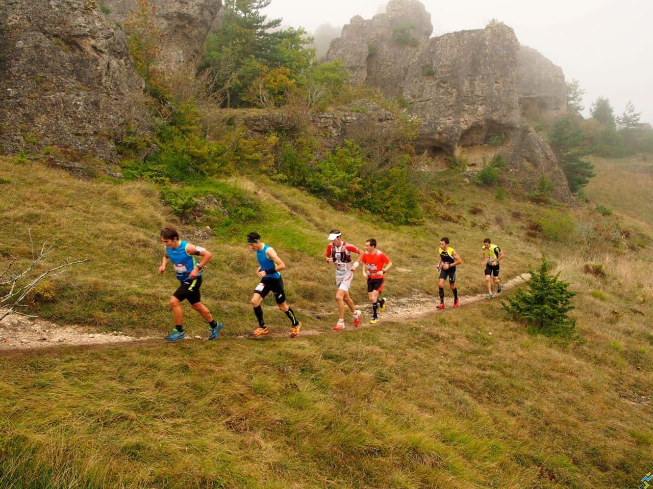 Templiers 2013 Roquesaltes n°3