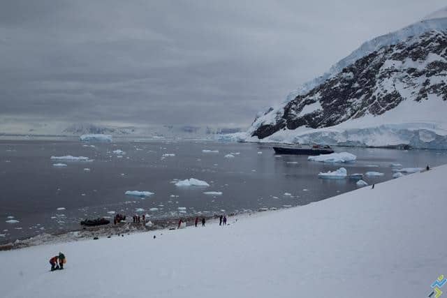 course a pied antarctique