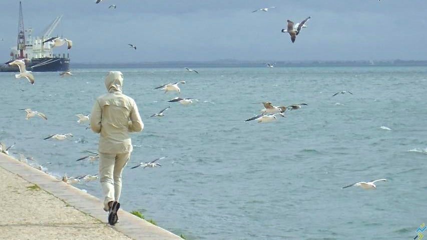 Courir face au vent 