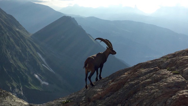 ascension-rapide-mont-blanc - 7