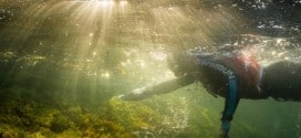 Nager et courir en nature, tout savoir sur le Swimrun