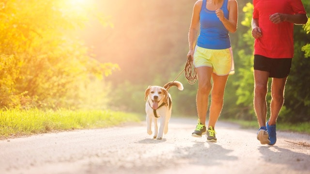 conseils pour courir avec son chien