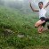 Le jour où Kilian Jornet arrêtera le Trail Running